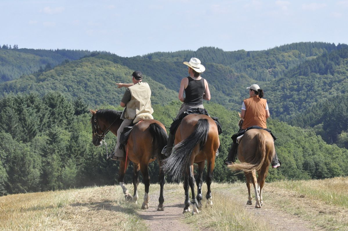 Reiten im Einklang mit der Natur 