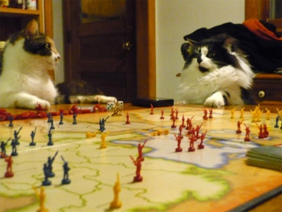 l-Cats-Playing-Risk.jpg