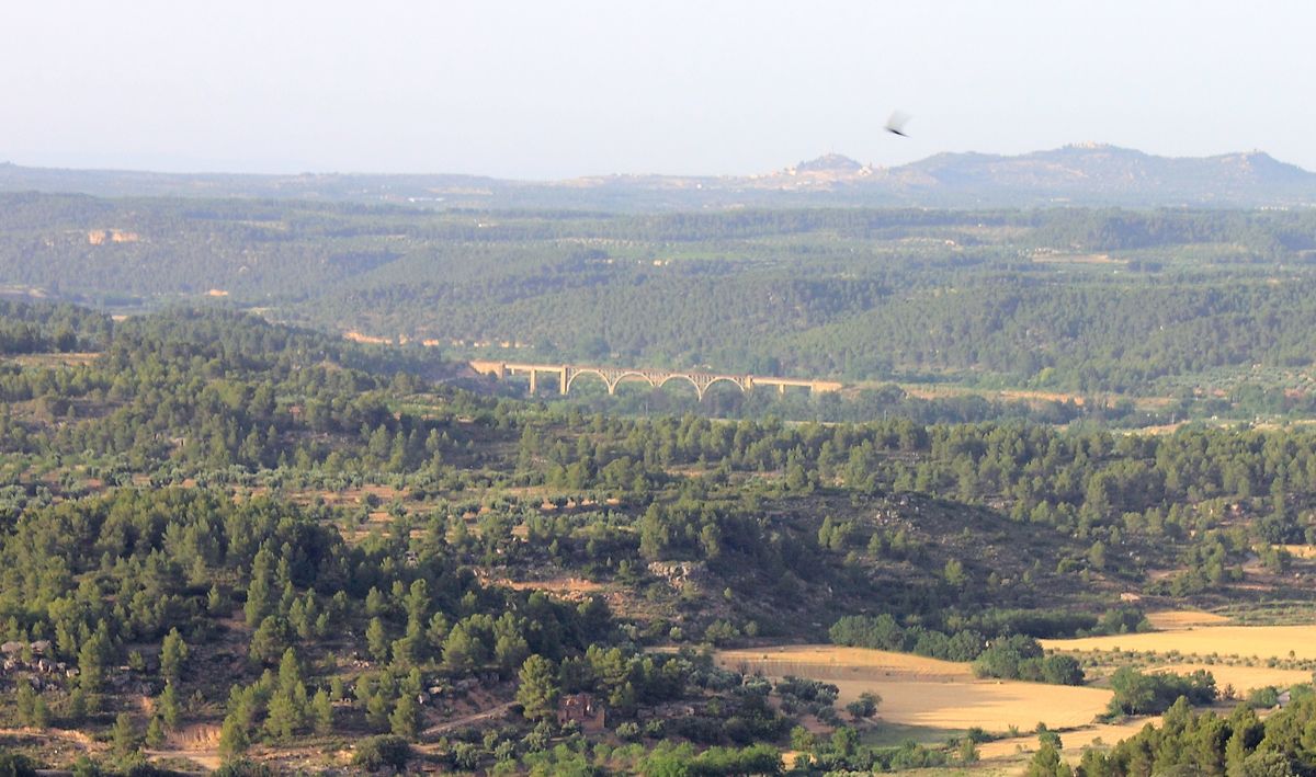 ACUEDUCTO ENTRE PINARES