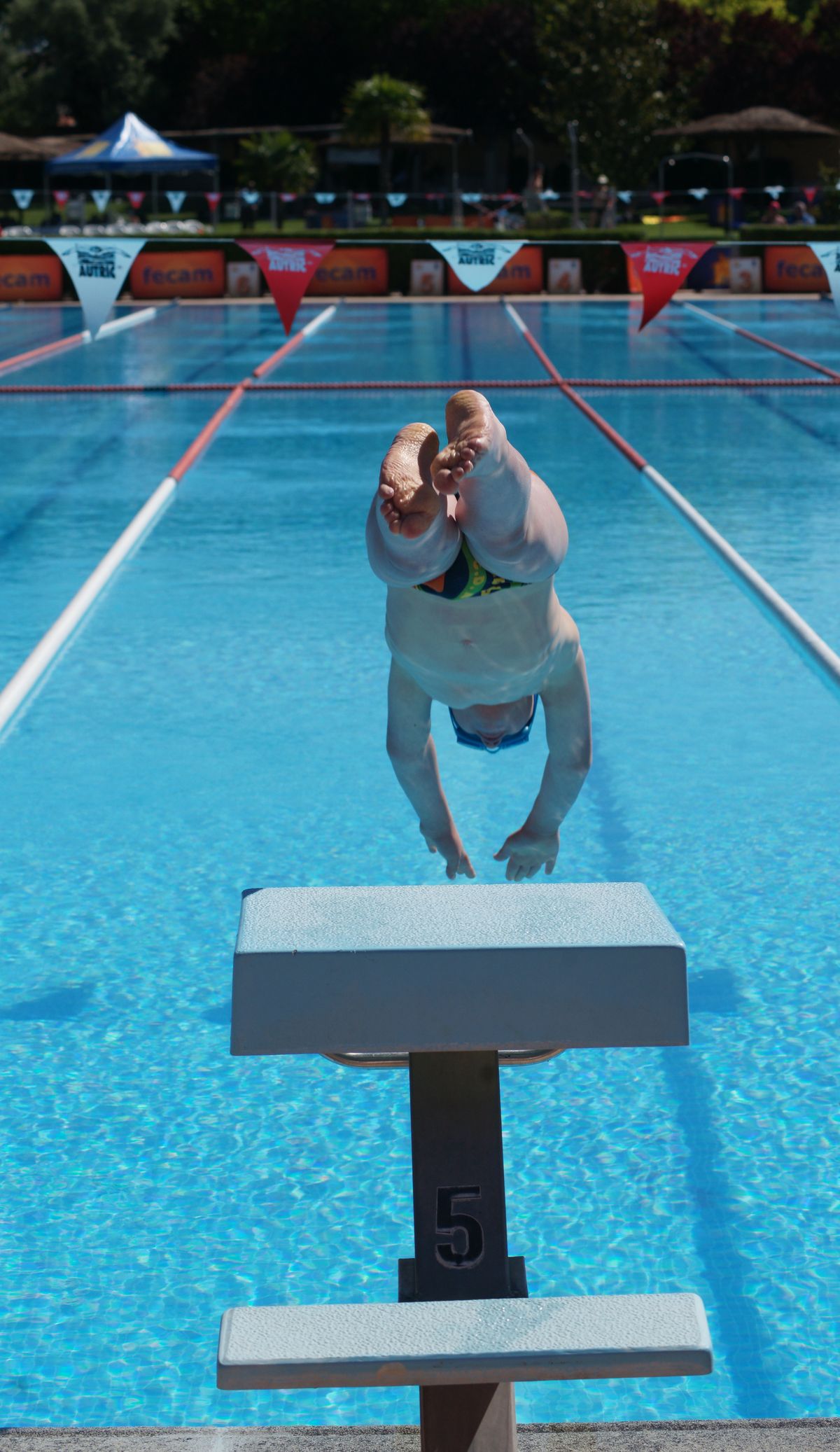 Joven con S.D. lanzándose a la piscina en una competición para personas con discapacidad intelectual