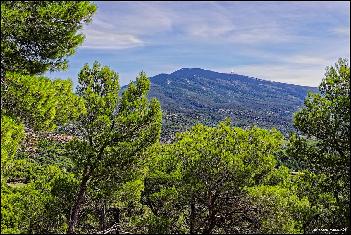 Ventoux