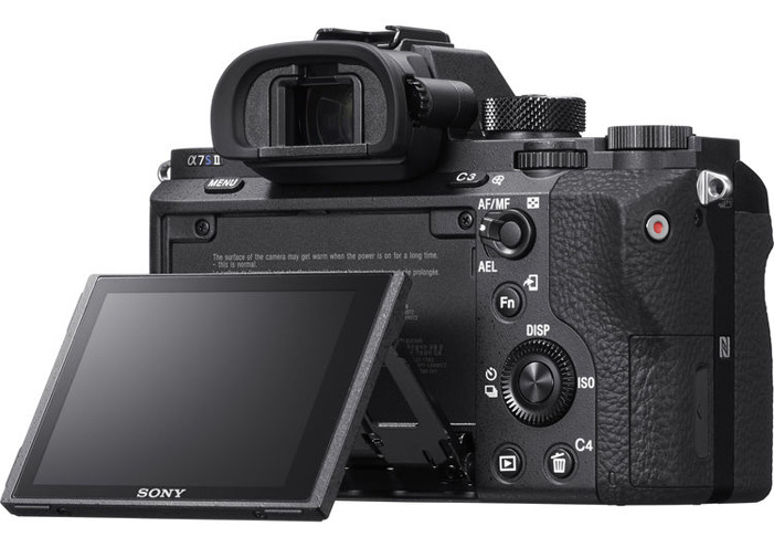 sony-a7sii-mirrorless-camera-back.jpg