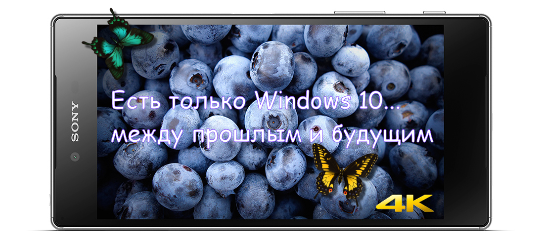 XperiaZ5Premium 4K.png