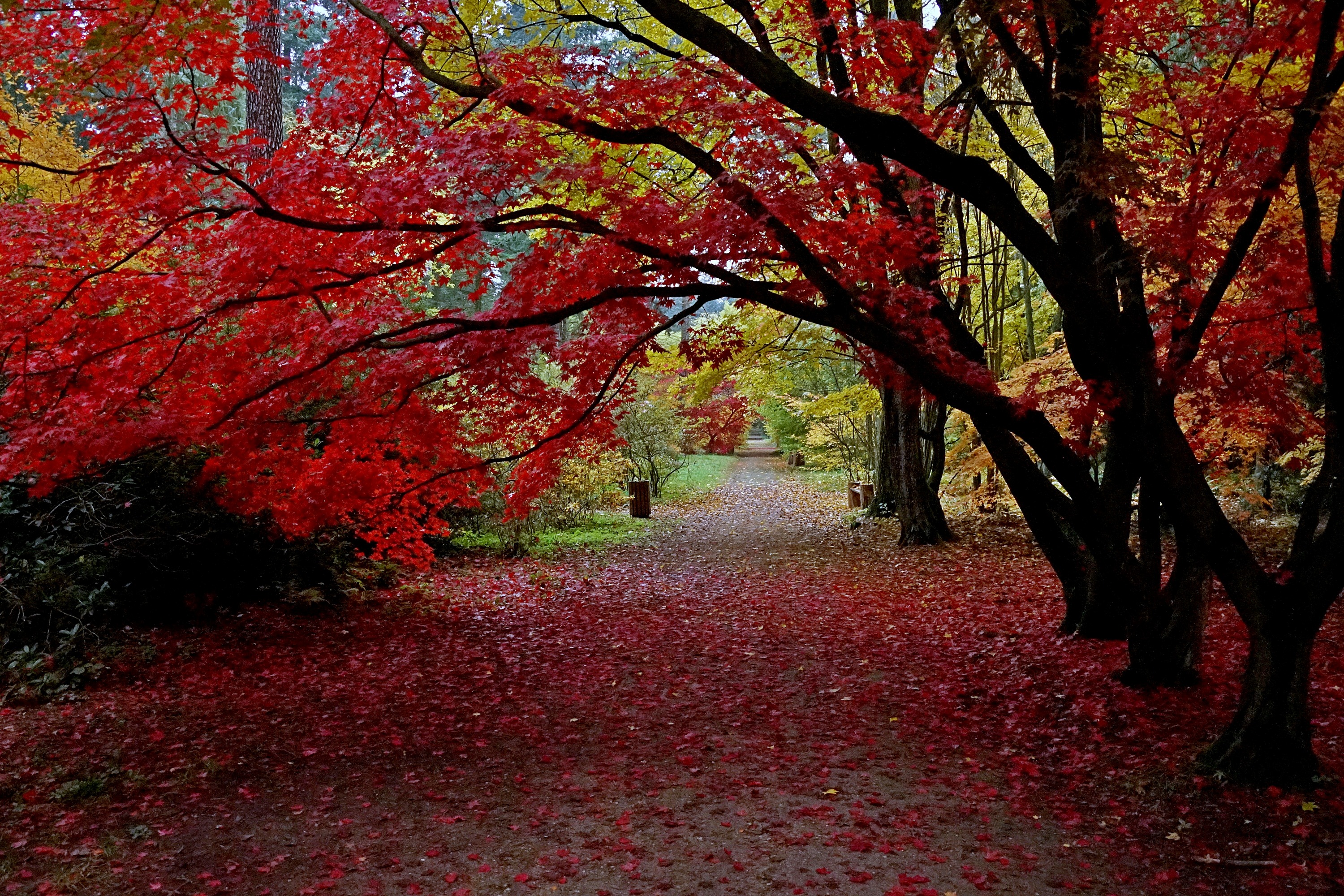 Arboretum