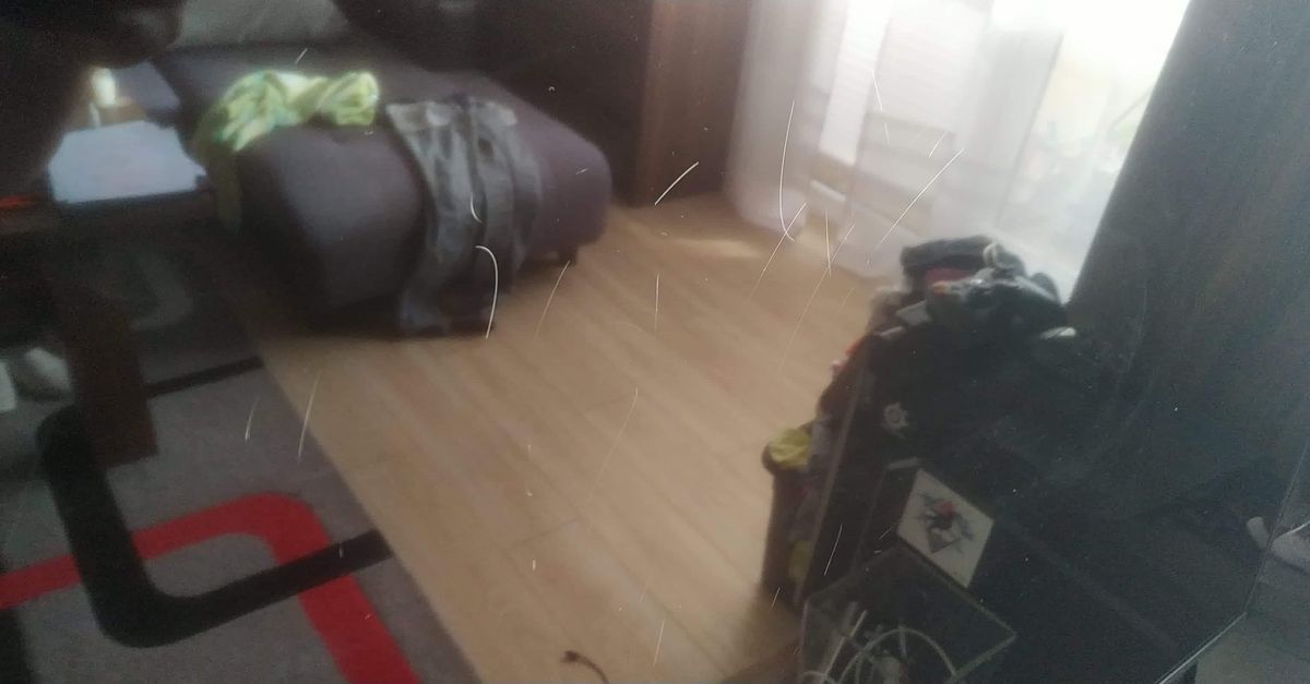 received_124541192282955[1].jpeg