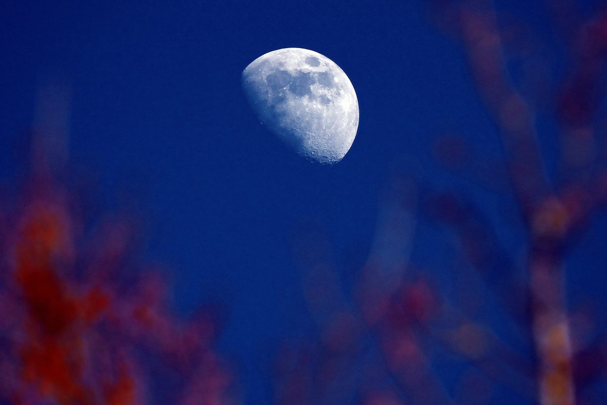 Original Abbildung nur die Bildgröße wurde verkleinert. Die Aufnahme zeigt den Mond mit einer Aufnahme Brennweite von  900mm.  Das Bild wurde in APS-C / Super 35mm Modus mit einem Sony 200-600mm  bei 600mm aufgenommen, Entspricht eine Äquivalenten Brennweite von 900mm