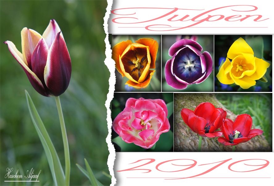 das habe ich extra für alle sonuser gemacht und ich wünsche für allen gut schuß ;-))))