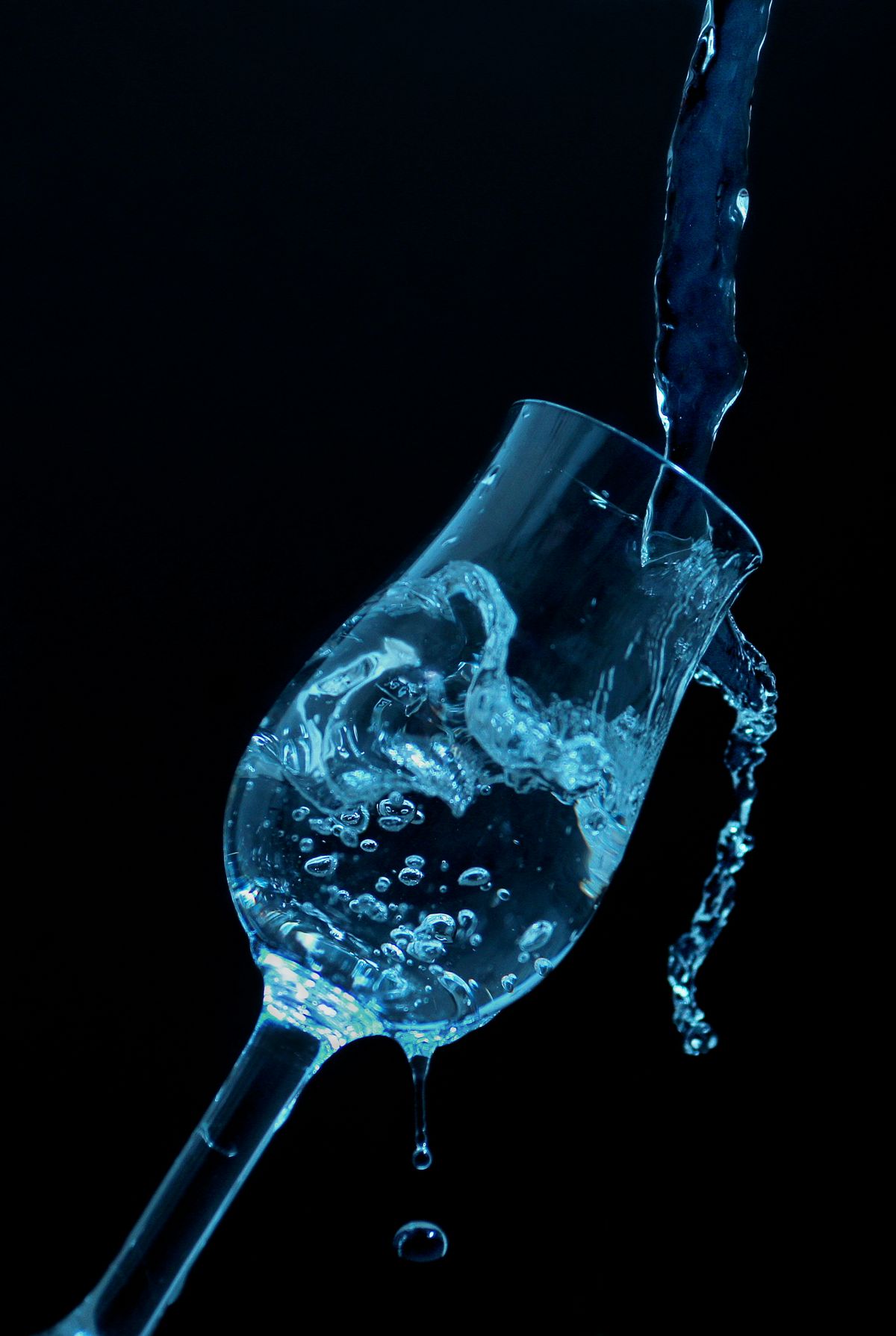 aufnahme mit sony a550/ minolta 50mm 1:2 /und minolta biltze 5400+softbox 30x30