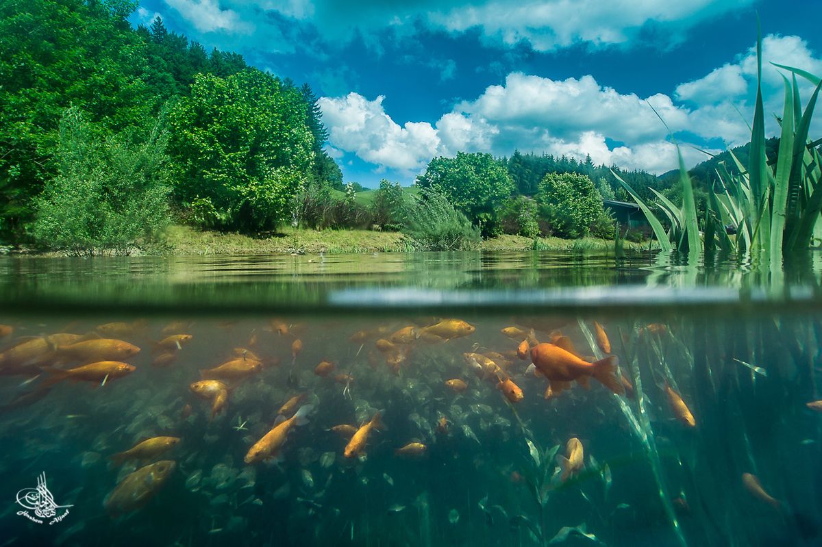 ein versuch für unser Teisch