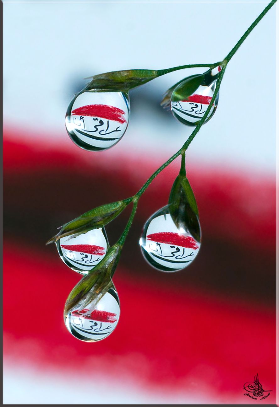 ich bin Irakisch..(das ein Logo für einen geeinten Irak) so steht in die Tropfen :-)))) mal wiedre ein Tropfen Spiel ...aber leider denke ich die läster von mein liebliges objektiv minolta 50mm .