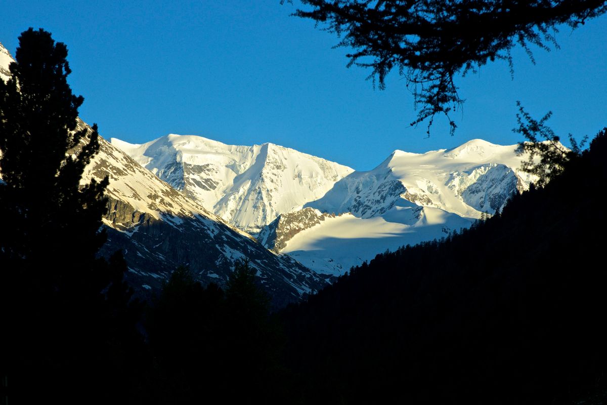 Piz Palü in der Abendsonne