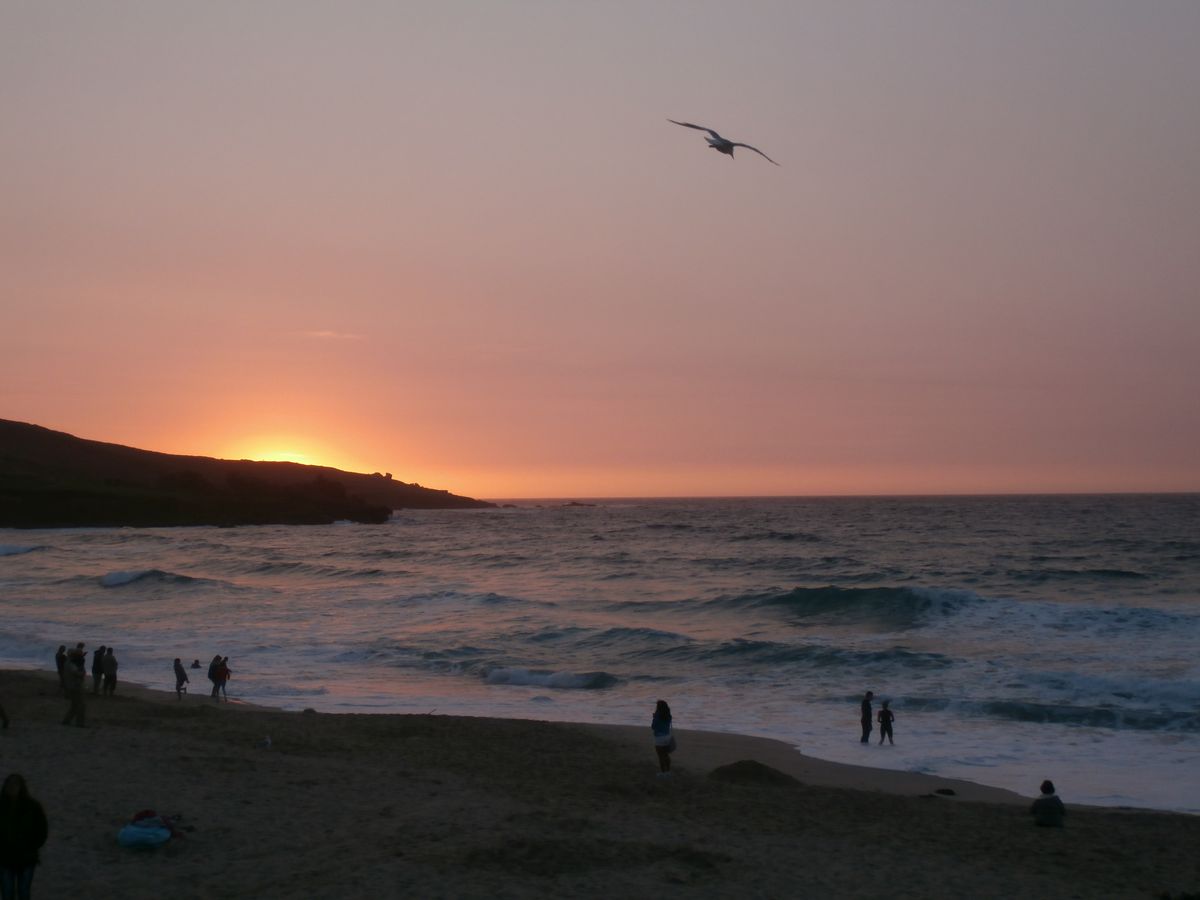 Saw this whilst driving to find somewhere to eat in Saint Ives in Cornwall, seagull flew in at the perfect moment and i just caught it in the frame