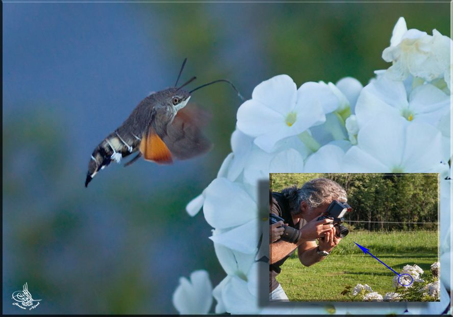 was 50mm stellet vor. aber leider mein muss nur manual F. nach ein ungluckliche fall .